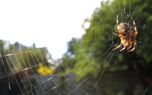 笔记本散热鳍片清洁：压缩空气使用技巧